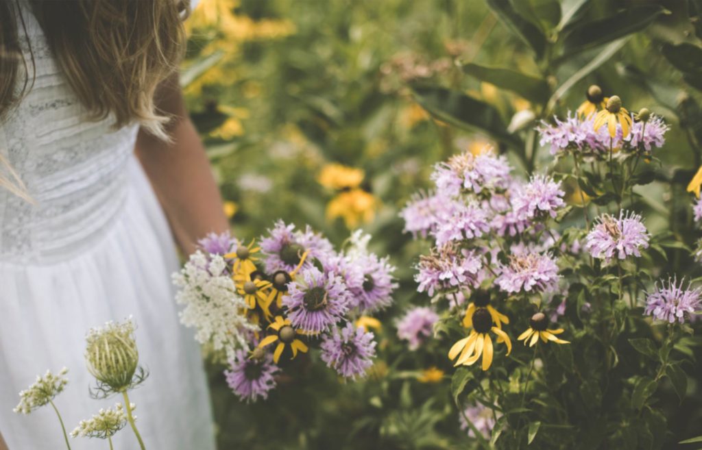 Kräutergesundheit aroma-therapie-gesundheit-duft-lebensfreude-heilung
