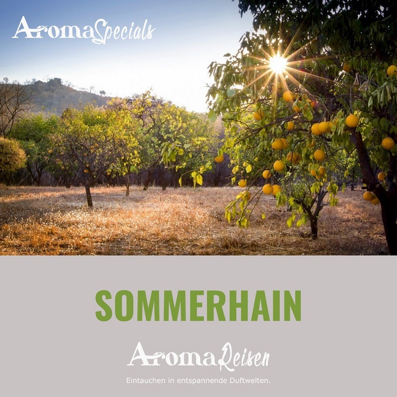 Sommerhain Sommerhain