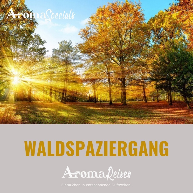 Waldspaziergang