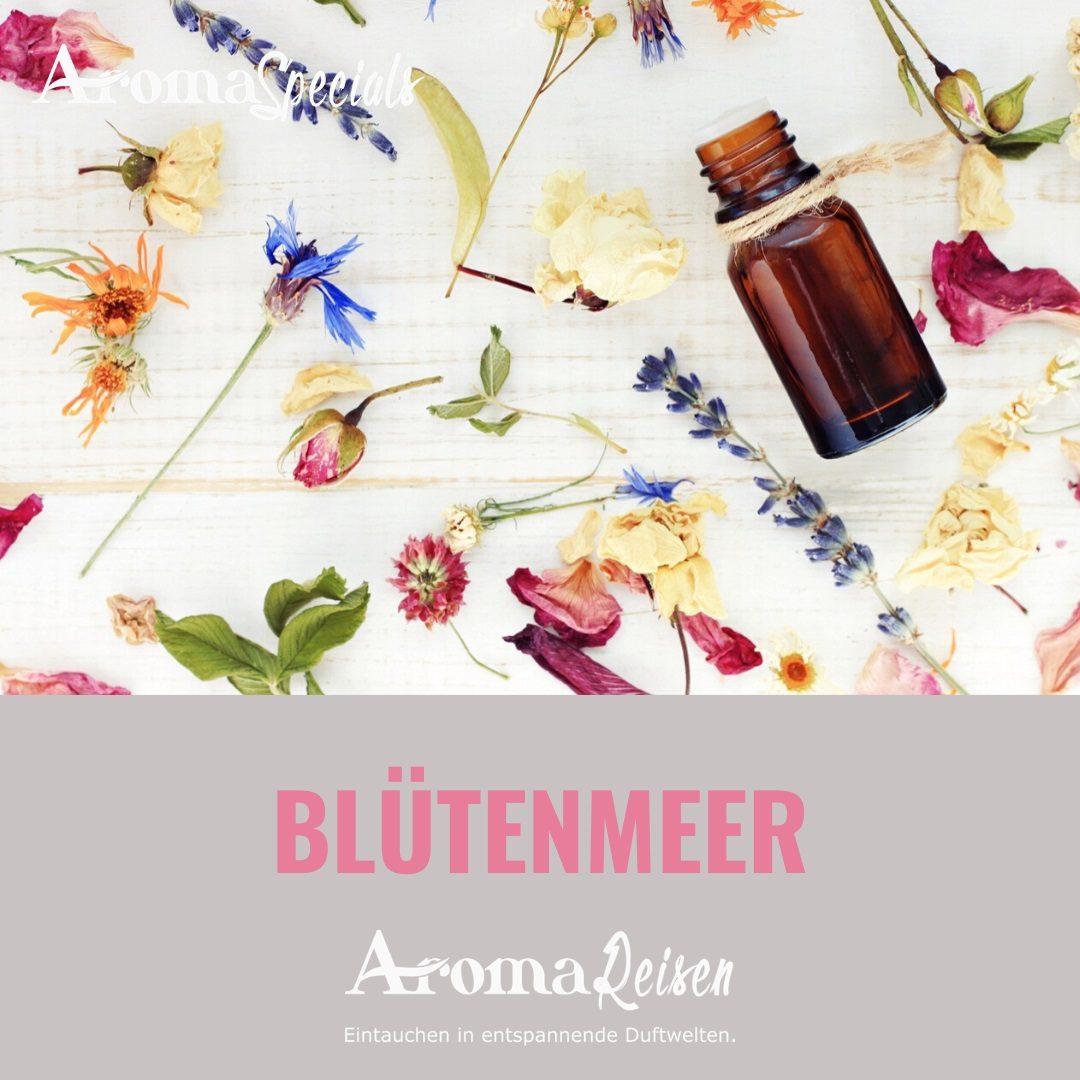 Blütenmeer Blütenmeer